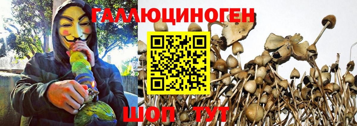 Галлюциногенные грибы MAGIC MUSHROOMS  Псилоцибиновые грибы мицелий  Ангарск  Вход с VPN 